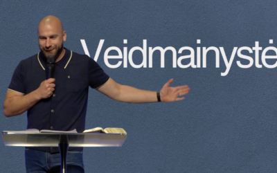 VEIDMAINYSTĖ