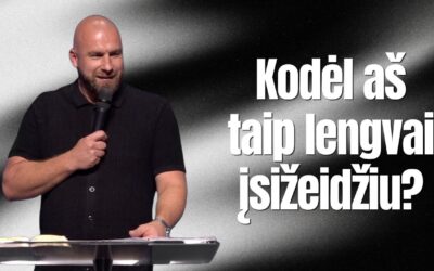 KODĖL AŠ TAIP LENGVAI ĮSIŽEIDŽIU?
